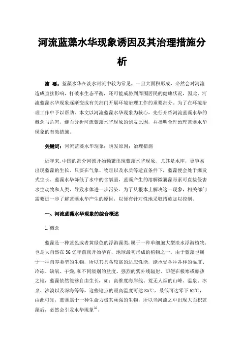 河流蓝藻水华现象诱因及其治理措施分析
