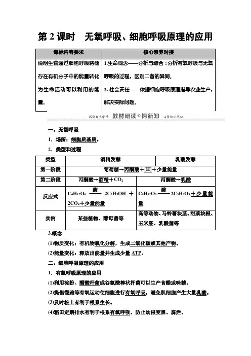 高中生物第一册 第5章 第3节 第2课时 无氧呼吸、细胞呼吸原理的应用 讲义