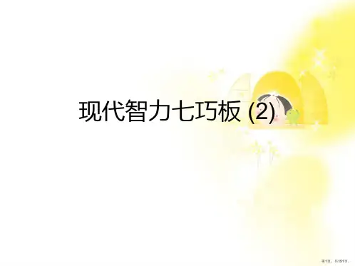 现代智力七巧板 (2)