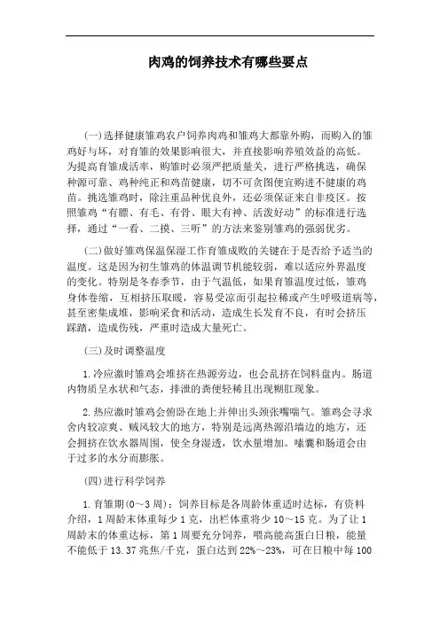 肉鸡的饲养技术有哪些要点