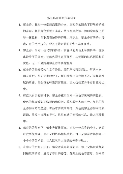 描写郁金香的优美句子