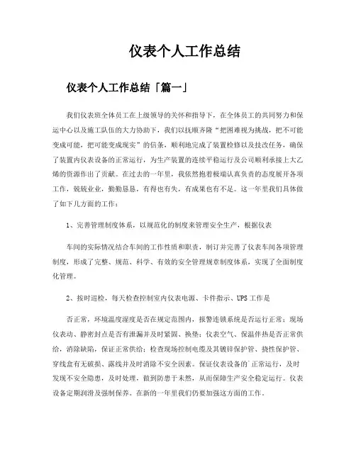 仪表个人工作总结