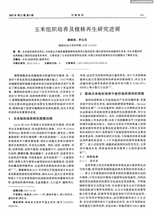 玉米组织培养及植株再生研究进展