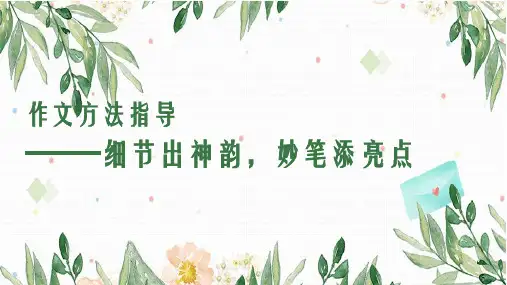 作文训练之细节描写课件