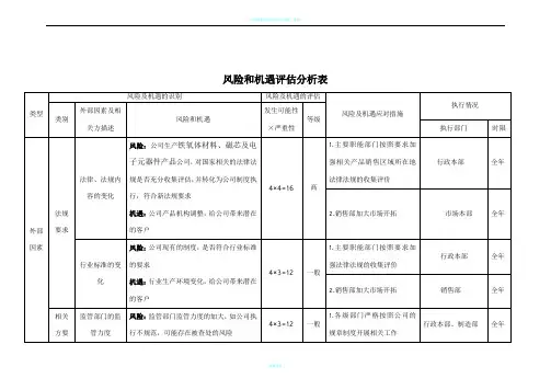 风险和机遇评估分析表范例