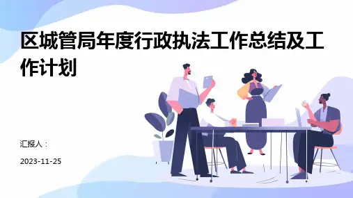 区城管局年度行政执法工作总结及工作计划