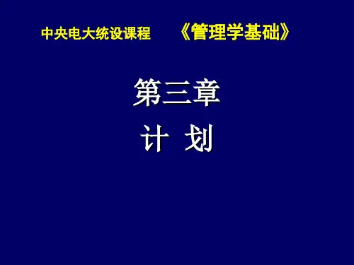 管理学基础第三章辅导PPT课件