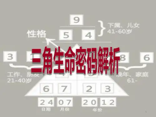 三角生命密码ppt课件