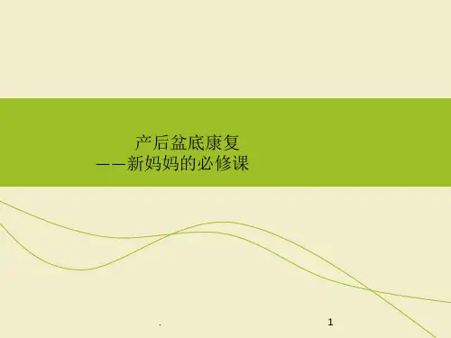 产后盆底康复PPT幻灯片