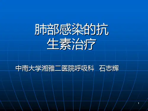 肺部感染的抗生素治疗PPT课件