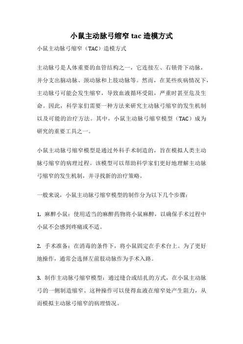 小鼠主动脉弓缩窄tac造模方式