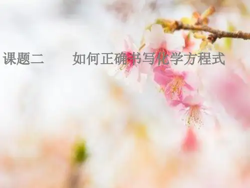 如何书写化学方程式PPT精品课件
