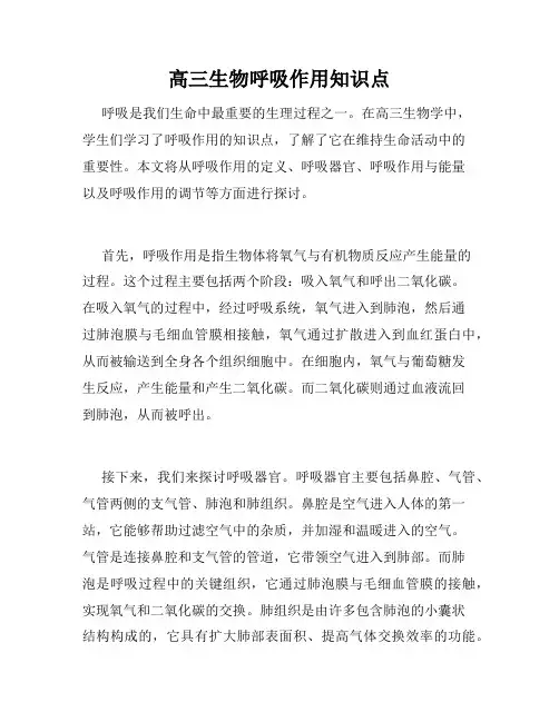 高三生物呼吸作用知识点