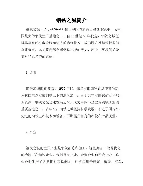 钢铁之城简介