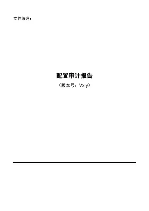 项目模板-配置审计报告
