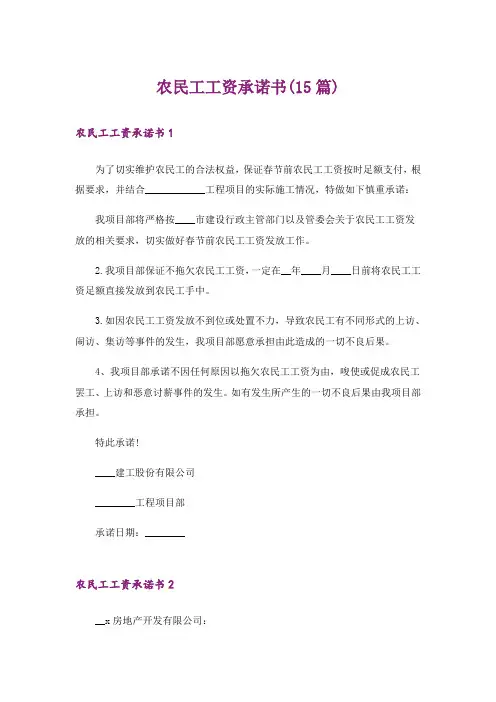 农民工工资承诺书(15篇)