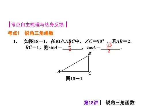 第18讲锐角三角函数ppt课件