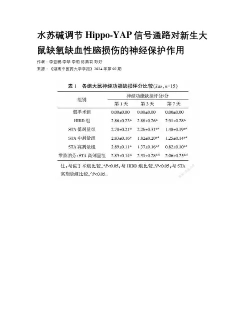 水苏碱调节Hippo-YAP信号通路对新生大鼠缺氧缺血性脑损伤的神经保护作用