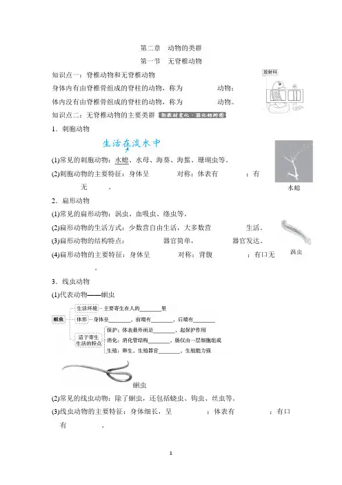 人教版七年级上册生物第二单元第二章第一节知识点总结