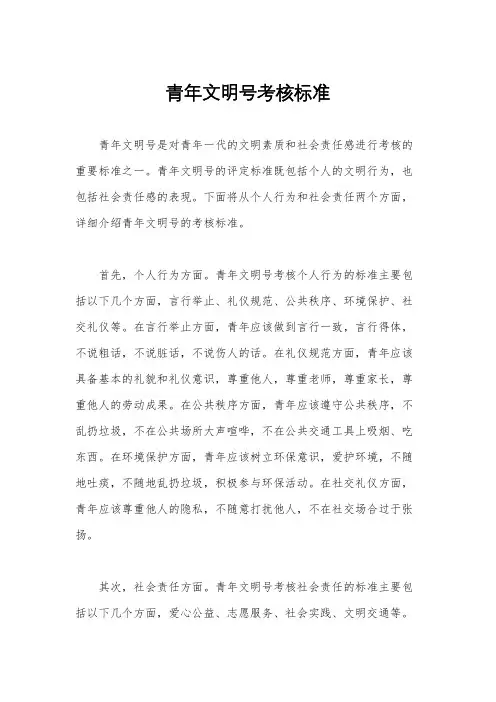 青年文明号考核标准