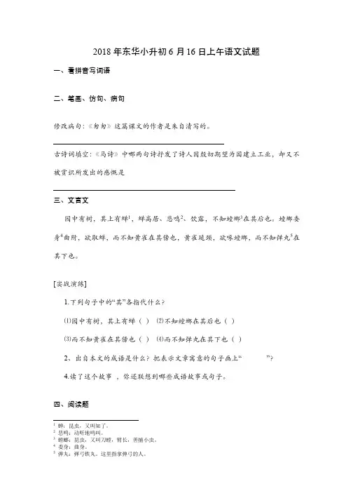 2019年东华初级中学小升初考试语文试题及答案解析