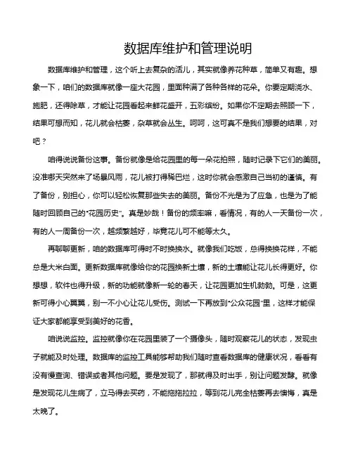 数据库维护和管理说明
