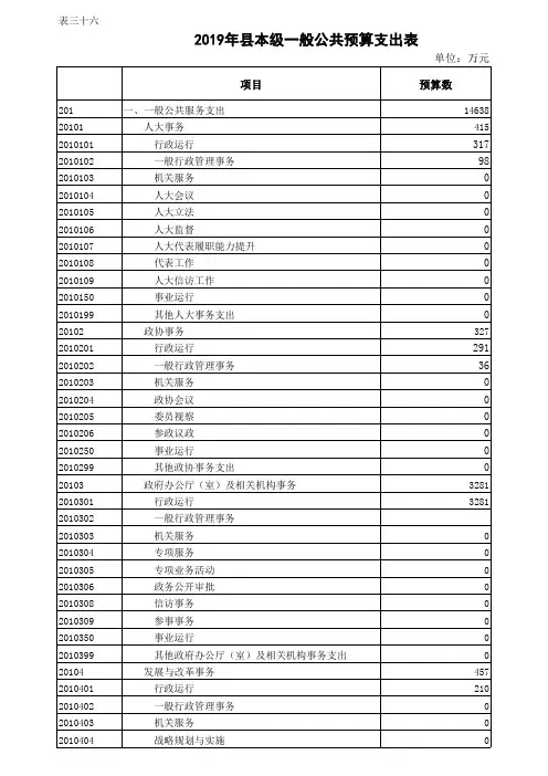 2019年县本级一般公共预算支出表