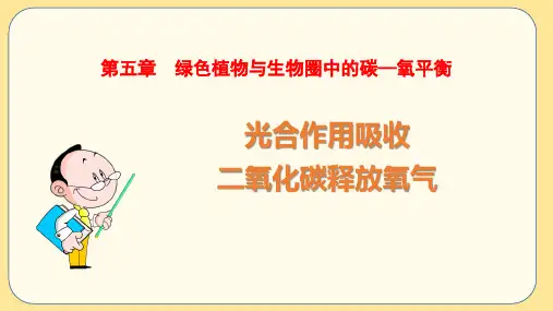 人教版七年级生物上册光合作用吸收二氧化碳释放氧气