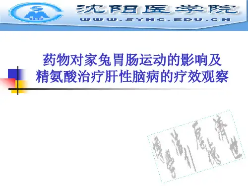 整合实验：家兔胃肠运动