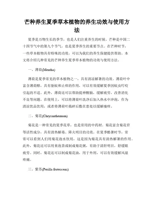 芒种养生夏季草本植物的养生功效与使用方法