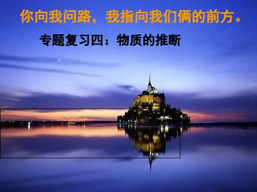 人教版初中化学专题复习四：物质的推断 课件(20张PPT)