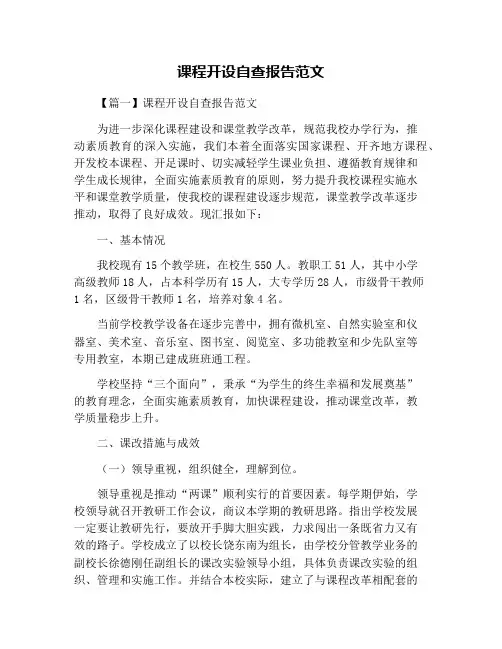 课程开设自查报告范文