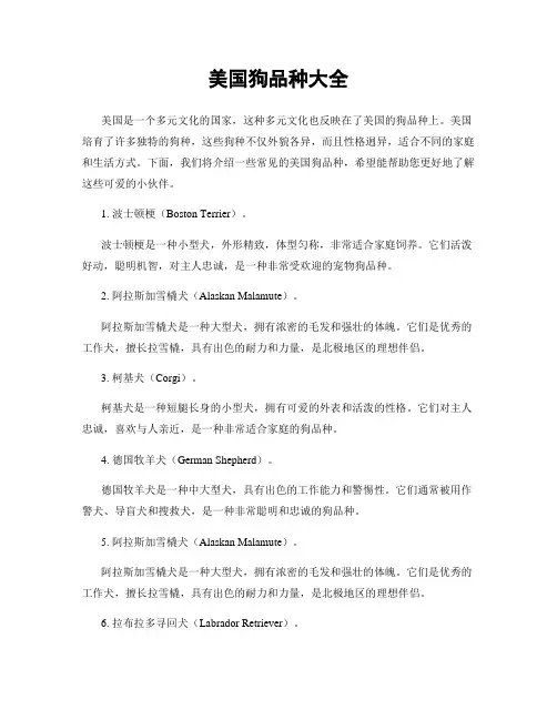 美国狗品种大全