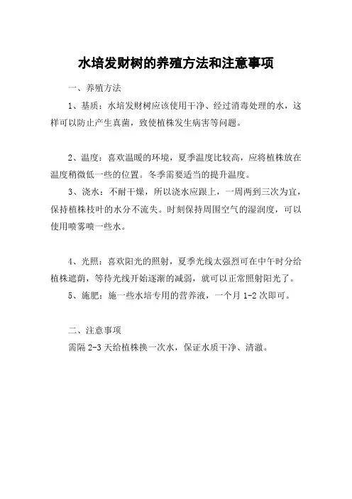 水培发财树的养殖方法和注意事项