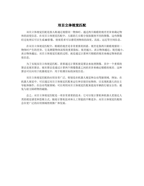 双目立体视觉匹配