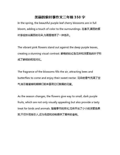 美丽的紫叶李作文三年级350字