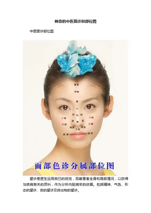 神奇的中医面诊和部位图