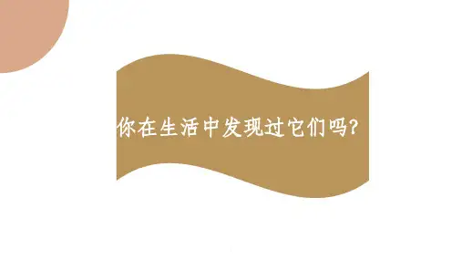 探秘二维码ppt课件