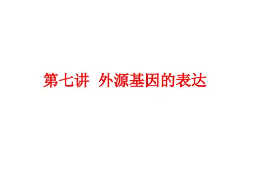 外源基因的表达