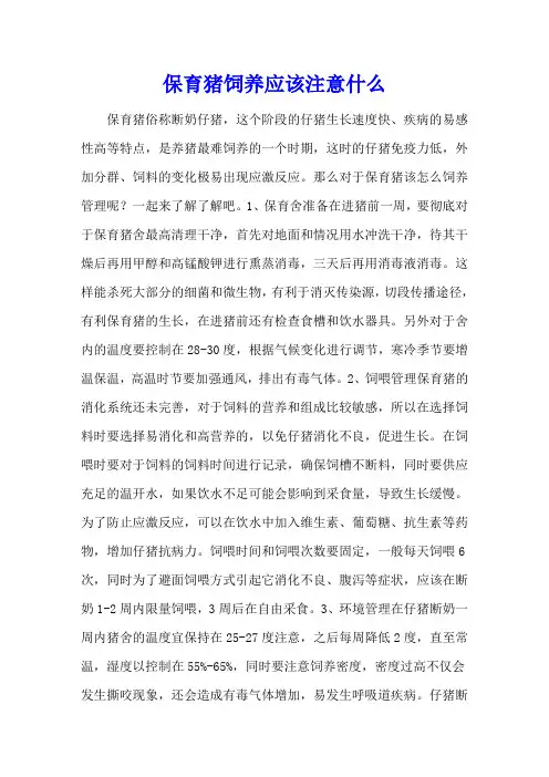 保育猪饲养应该注意什么