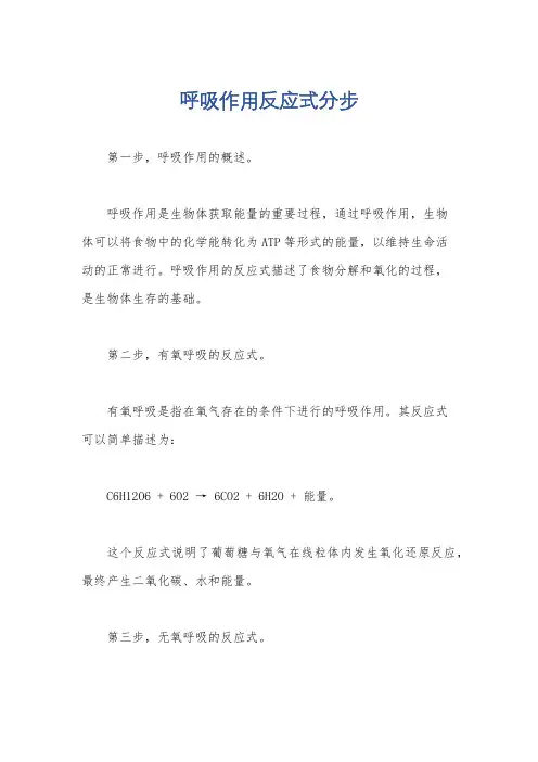 呼吸作用反应式分步