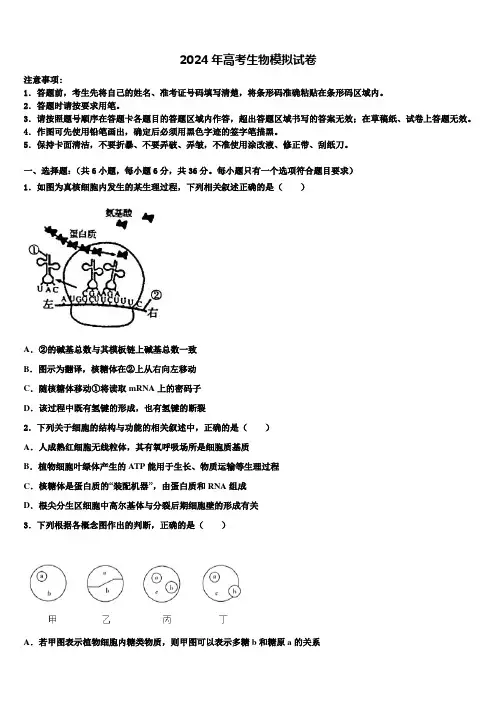 2023-2024学年湖北省鄂州市高三下学期第五次调研考试生物试题含解析