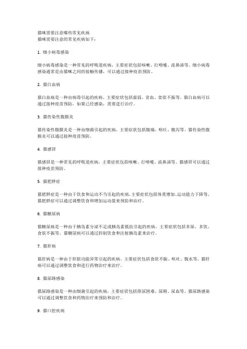 猫咪需要注意哪些常见疾病