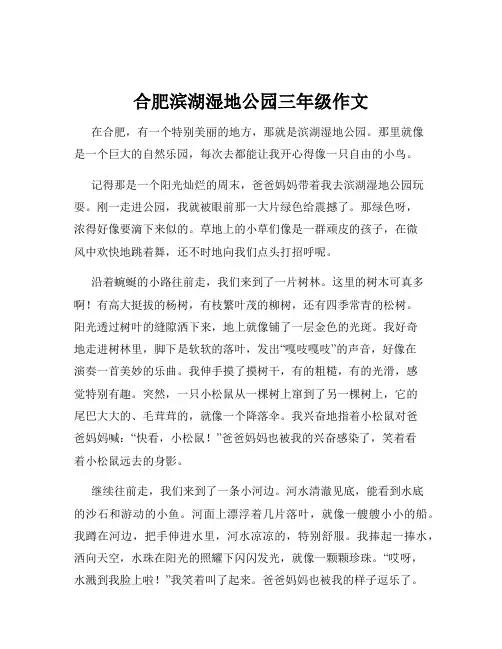 合肥滨湖湿地公园三年级作文