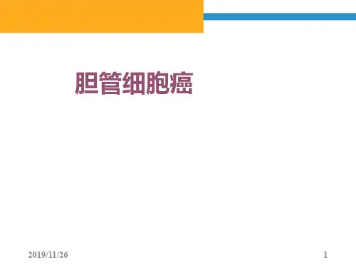 胆管细胞癌PPT课件