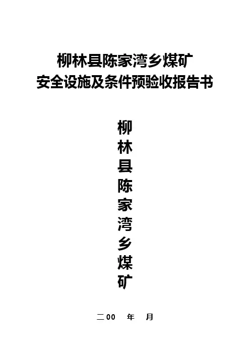 (安全生产)安全设施及条件预验收报告书