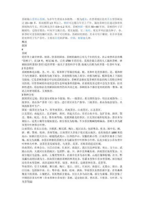 茶树