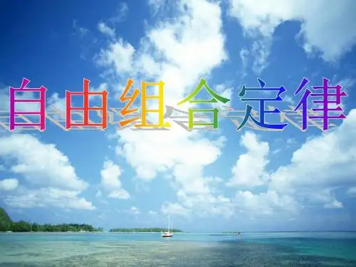 浙科版高中生物必修2 自由组合定律 名师公开课优质课件(20张)