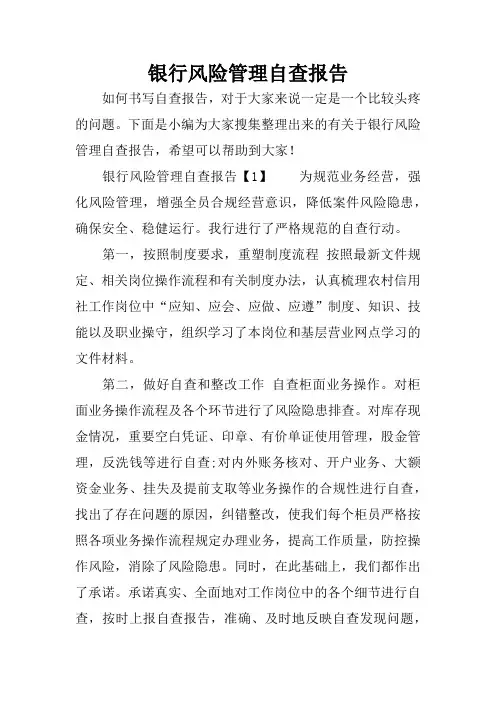 银行风险管理自查报告