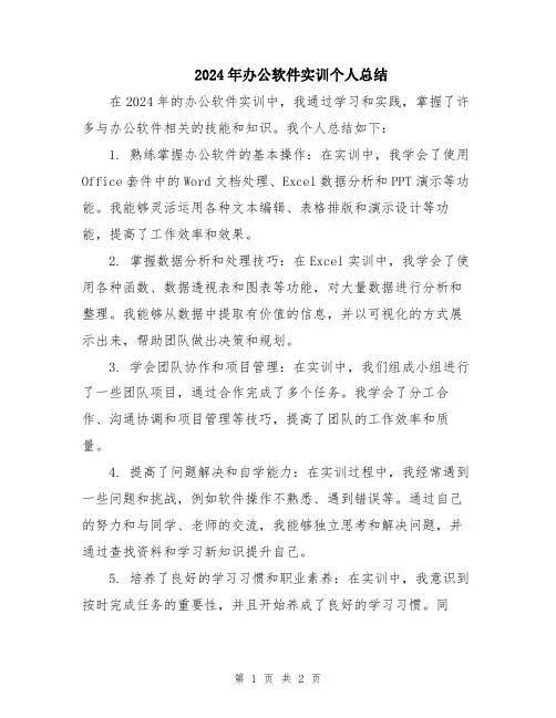 2024年办公软件实训个人总结